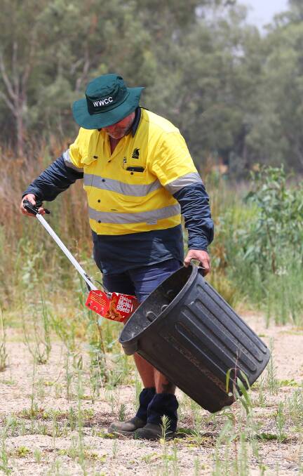 Council worker Jim Smith picking up rubbish at Lake Albert. Picture: Emma Hillier