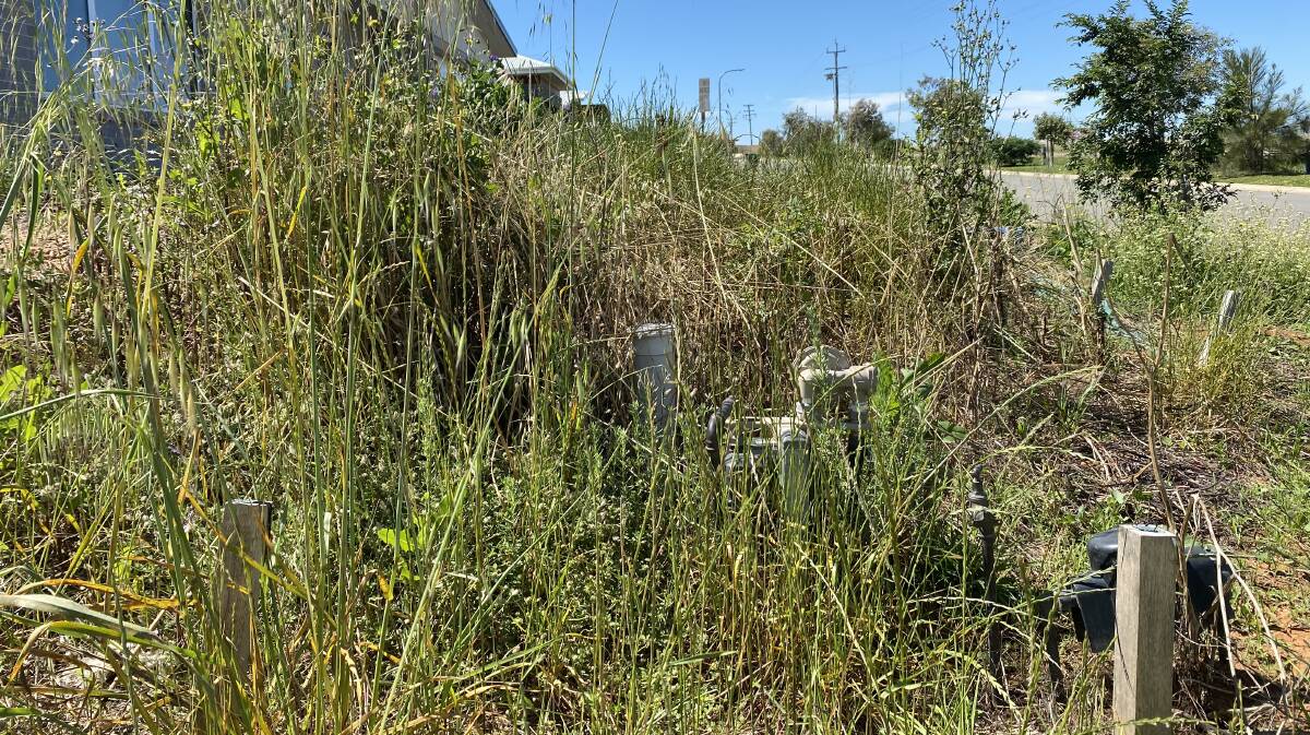 Wagga council reminds residents to keep their nature strips tidying. Picture: Daina Oliver