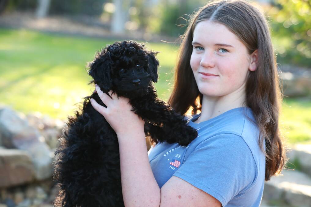 Abbey Townsend reunited with her puppy Theo. Picture: Emma Hillier