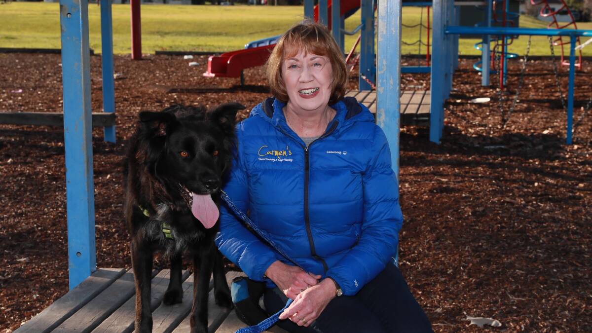 Wagga dog trainer Carmen McGill says new change encourages dog owners to take more responsibility of their pets. Picture: Les Smith 