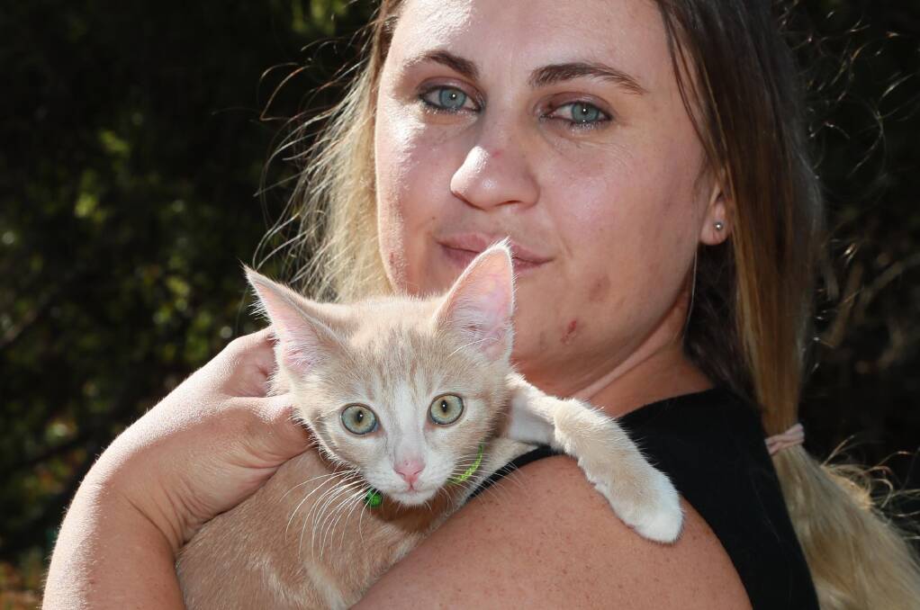 Renai Kneebone with Vissy, the cat, who is out of surgery and on the road to recovery before finding a permanent home. Picture: Les Smith