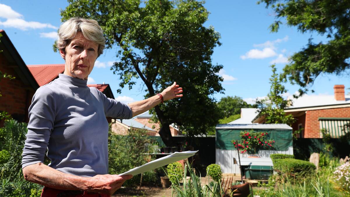 Anna Dennis is unhappy to have her Cooedong Lane property have a two-storey unit built next door despite living in a conservation area. Picture: Emma Hillier