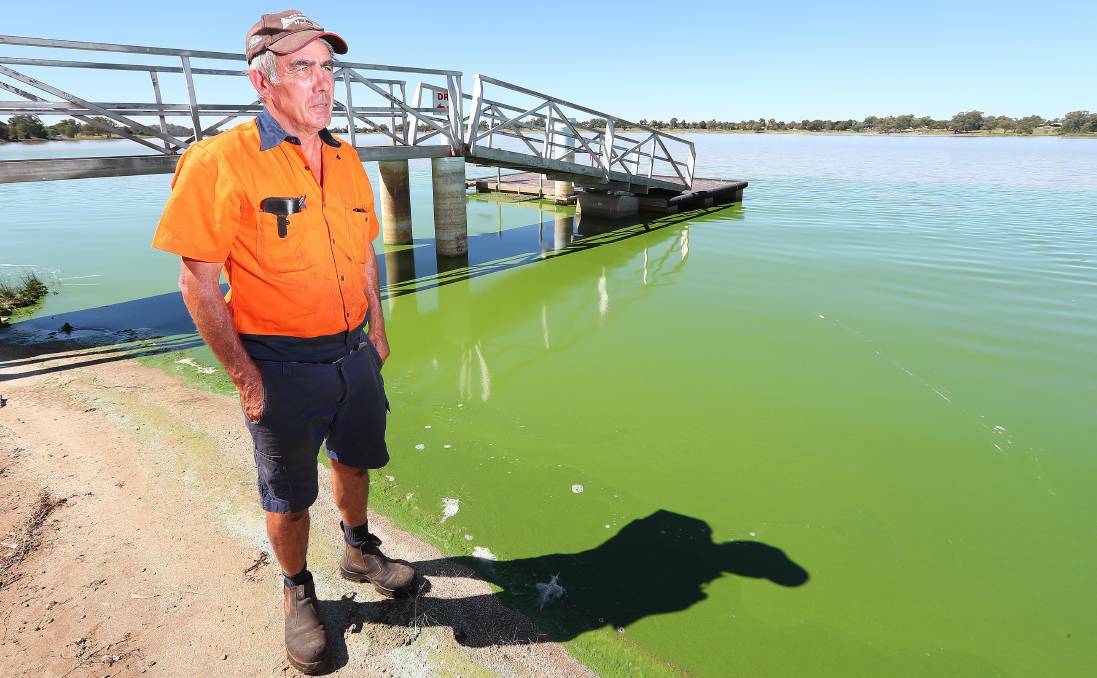 Wagga Boat Club commodare Mick Henderson, pictured in August last year, at the height of the algal blooms. 