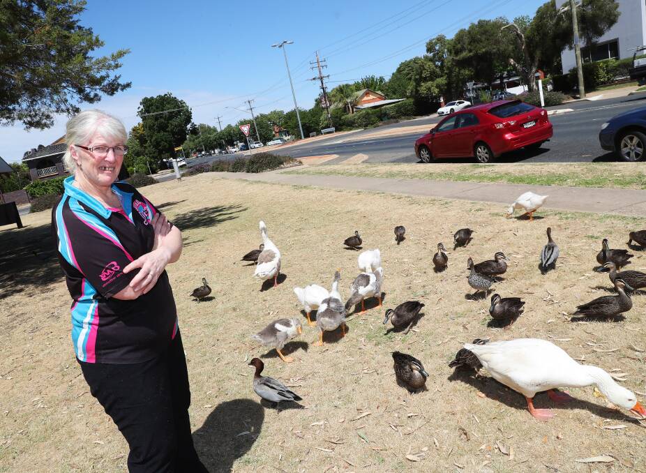 WADDLE ALONG: Ray Ray's Diner owner Jeanette Saxvik wants to see a crossing for ducks and geese near Wollundry Lagoon. Picture: Emma Hillier