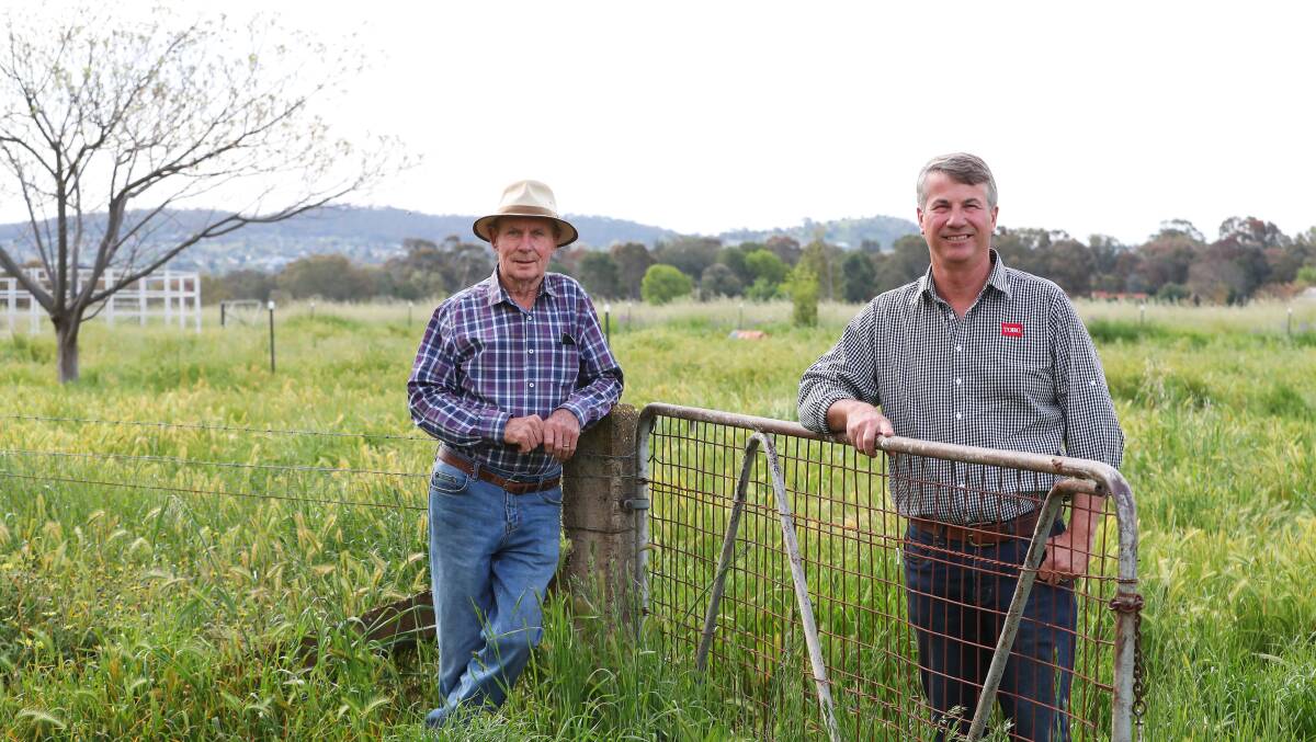 BIG VISION: Des Lane and Michael Lenehan, the owners of the land that could be transformed into a proposed housing estate at Lake Albert, plan to take advantage of the spacious area and fill a void. Picture: Emma Hillier