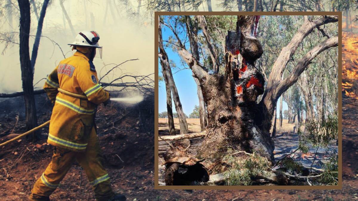Pictures: NSW RFS - Riverina zone 