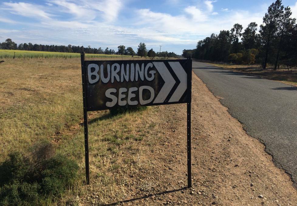 Festival organisers may still receive the all-clear to hold the event at Matong State Forest next year despite the amount of drug offences made this year. Pictures: Marguerite McKinnon