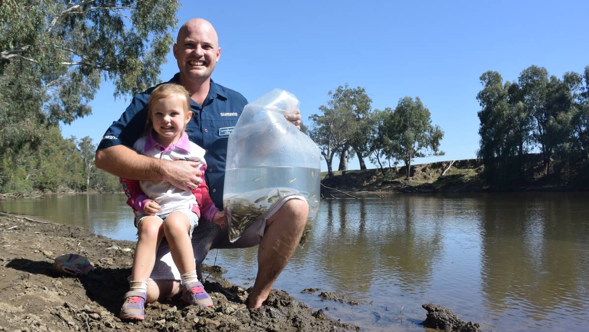 FUTURE FISHING: Tackleworld assistant manager Chris Cotterill and daughter Evie, 3, with some of the 10,000 Murray cod that were released into the Murrumbidgee River on Monday. Picture: Shane Manning