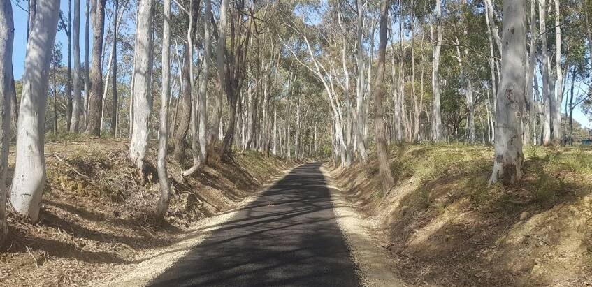 The Tumbarumba to Rosewood Rail Trail will be officially opened in April.