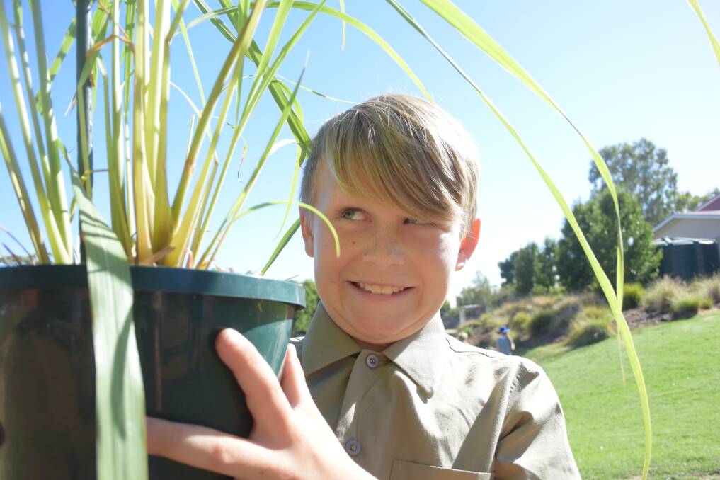 GREEN TINGE: Fletcher Nimmo, 8, with a plant donated for the fete.