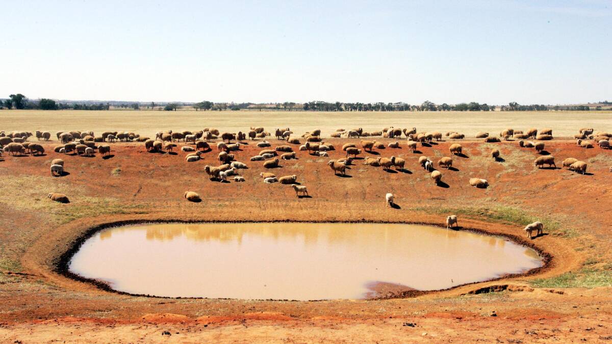 Three regional councils given $1m boost in latest drought package