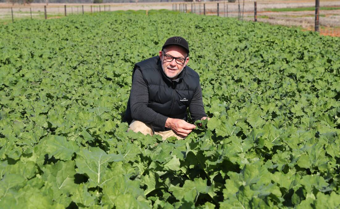 Department of Primary Industries' research agronomist Graeme Sandral says there is a sense of optimism in the region's farmers. Picture: Emma Hillier.