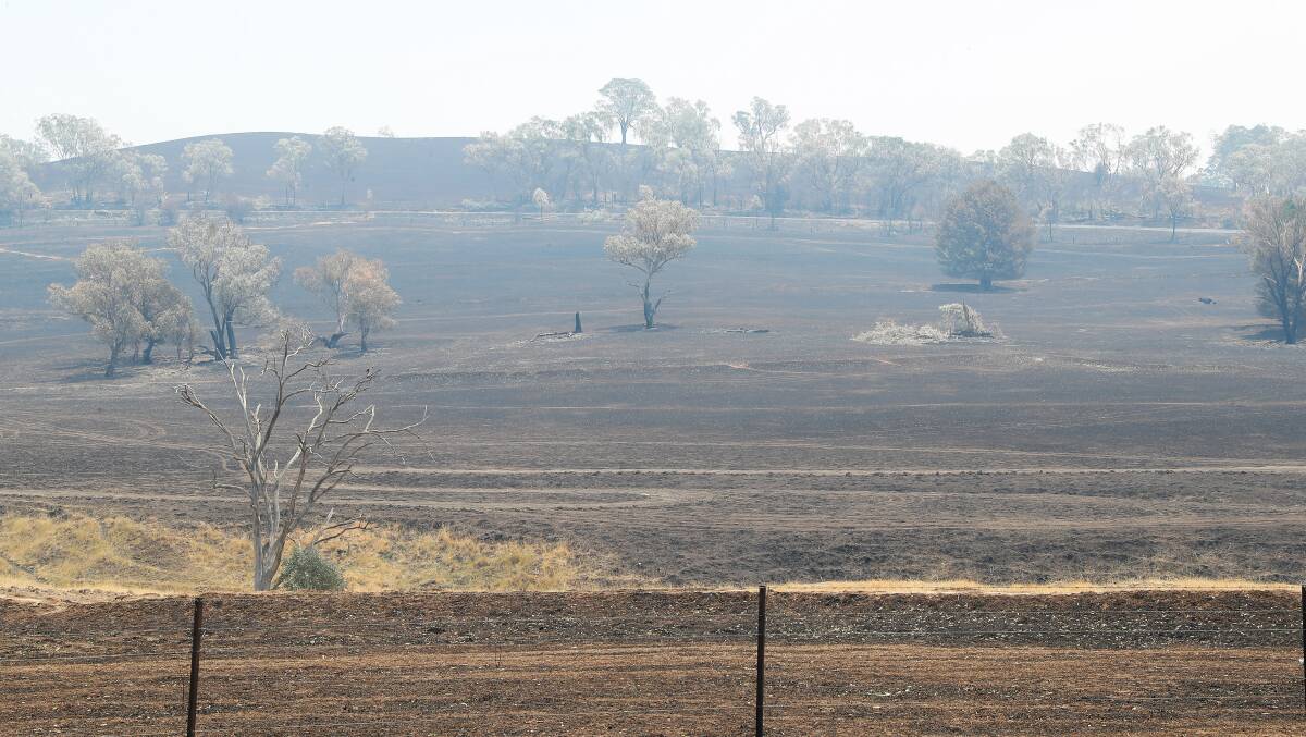 FIRE RAVAGED: The Snowy Valleys landscape has been blackened by bushfires in recent weeks.