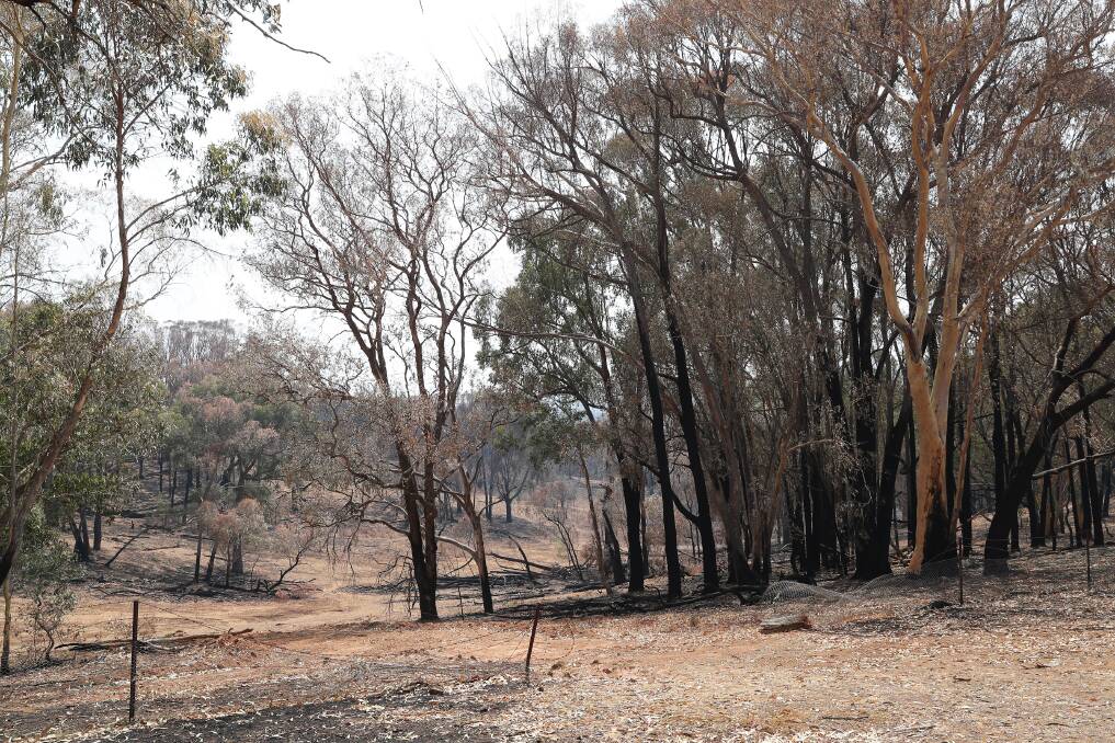 Oberne Creek was hit by bushfire in January.