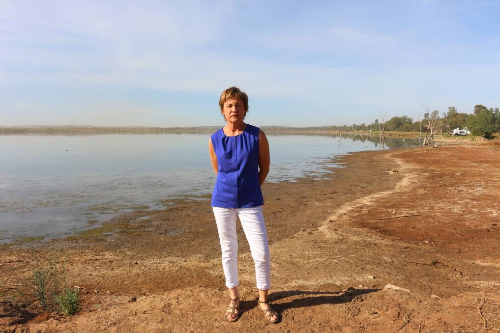 Member for Murray, Helen Dalton, wants to overall the legislation around water rights.