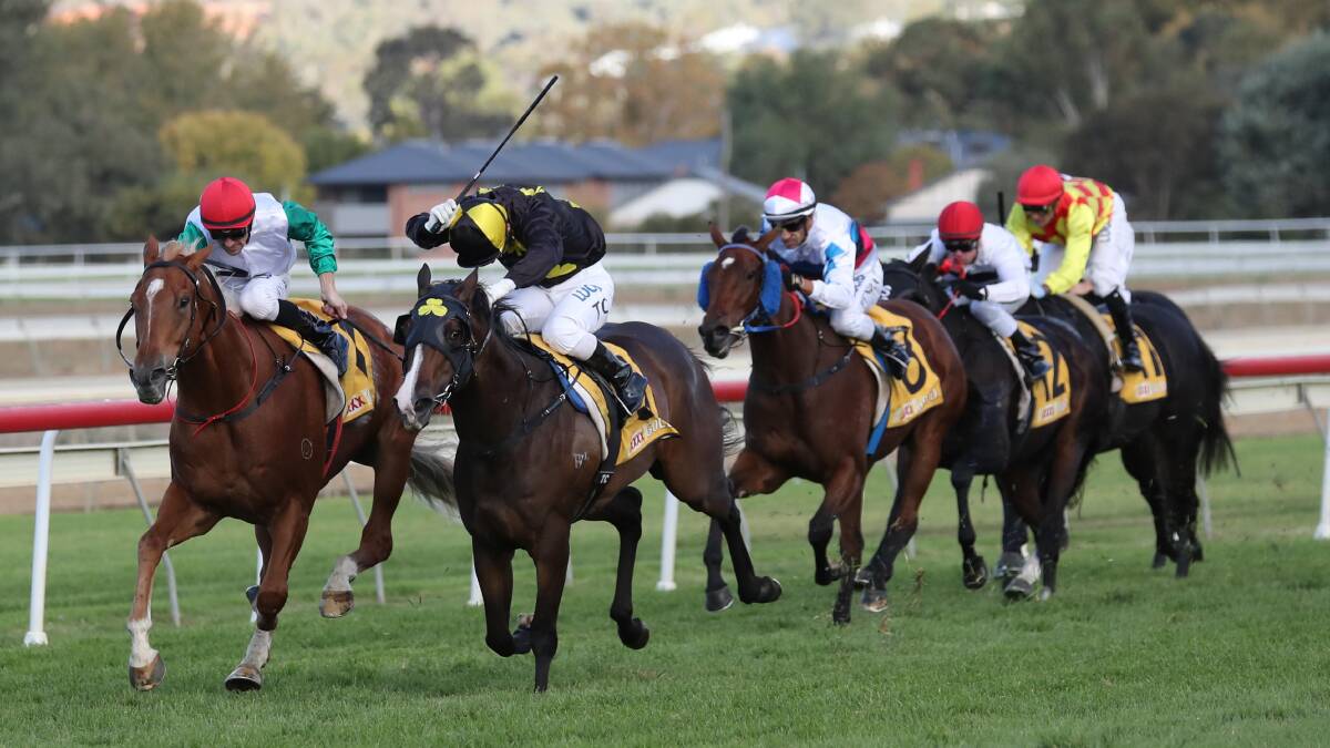 Wagga's Gold Cup is a financial winner for the city.