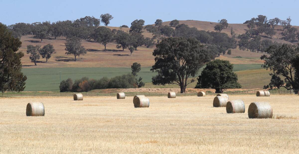 ROLLED OVER: A crop has been made into hay in dry conditions. Picture: Les Smith