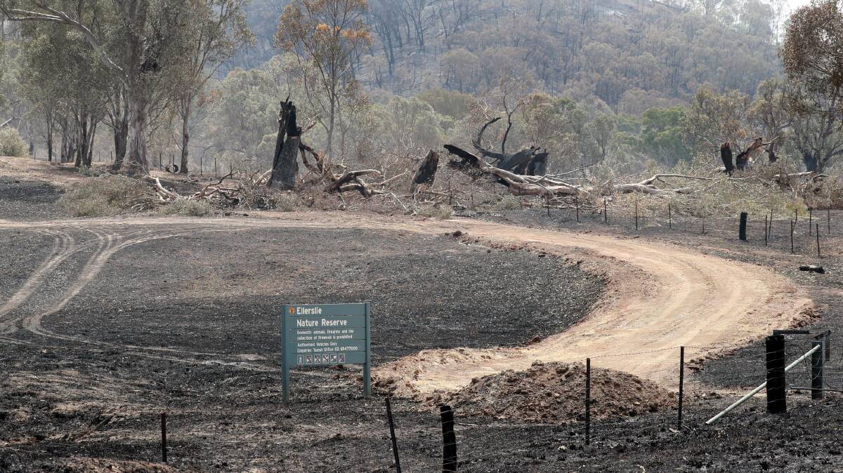 CHARRED REMAINS: The bushfire damage is clear from the side of the Snowy Mountains Highway