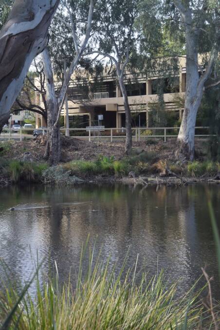 The site at 1 Simmons Street, Wagga, overlooking Wollundry Lagoon.