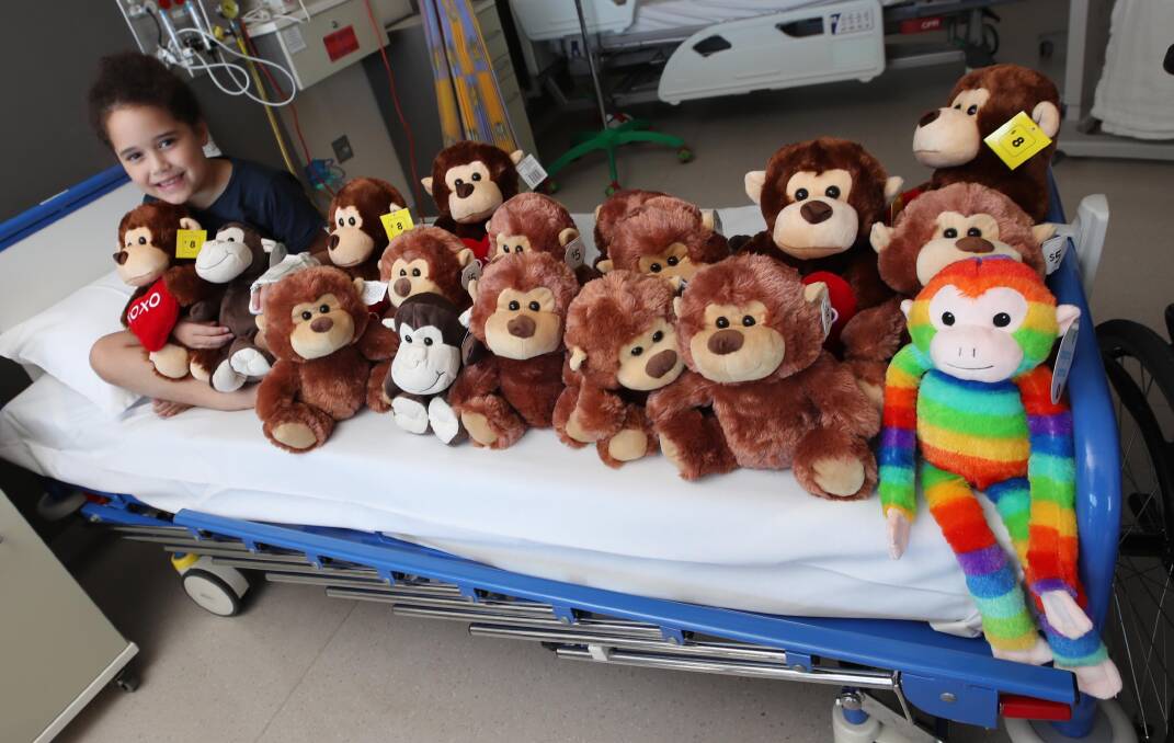 BARREL OF FUN: Taya-Rose Martin, 6, with some of the monkeys donated to Wagga Base Hospital's paediatrics ward. Picture: Les Smith