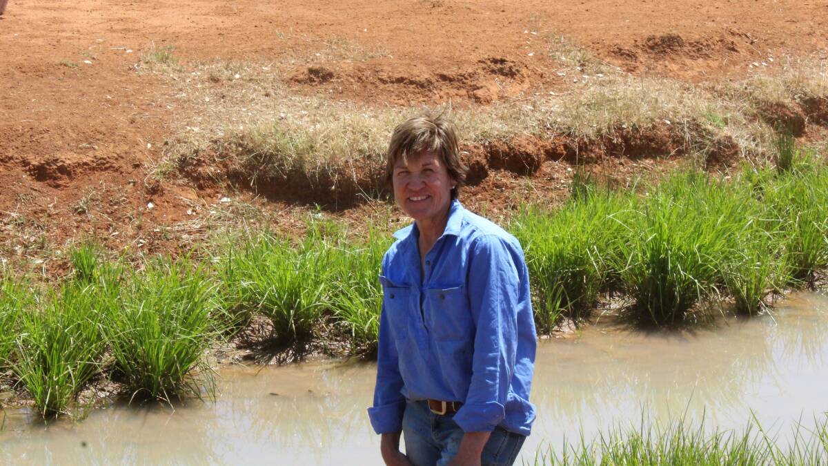 Member for Murray Helen Dalton wants a royal commission into the Murray-Darling Basin Plan.