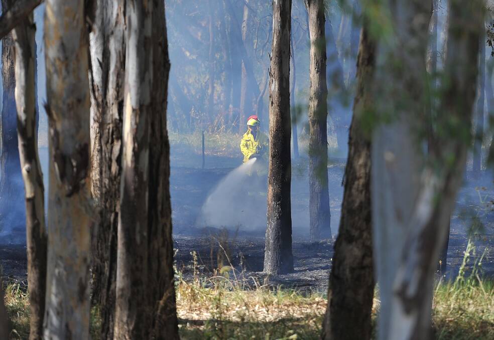 A fire near the Murrumbidgee River, off Wagga's Day Street, in 2016.