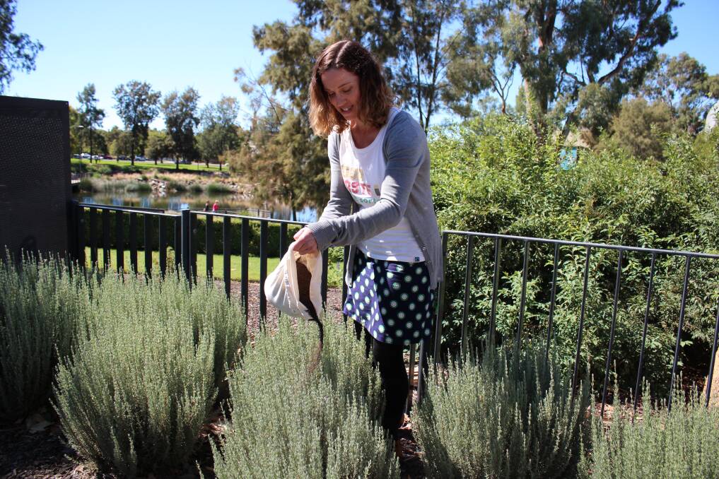 Wagga City Council's Alice Kent sprinkles some of the city's composted waste on to a flower bed. Picture: Emma Horn