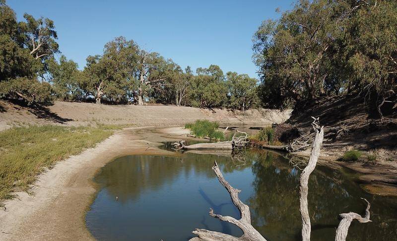 The region's irrigators want the Murray-Darling Basin Plan "paused and fixed".