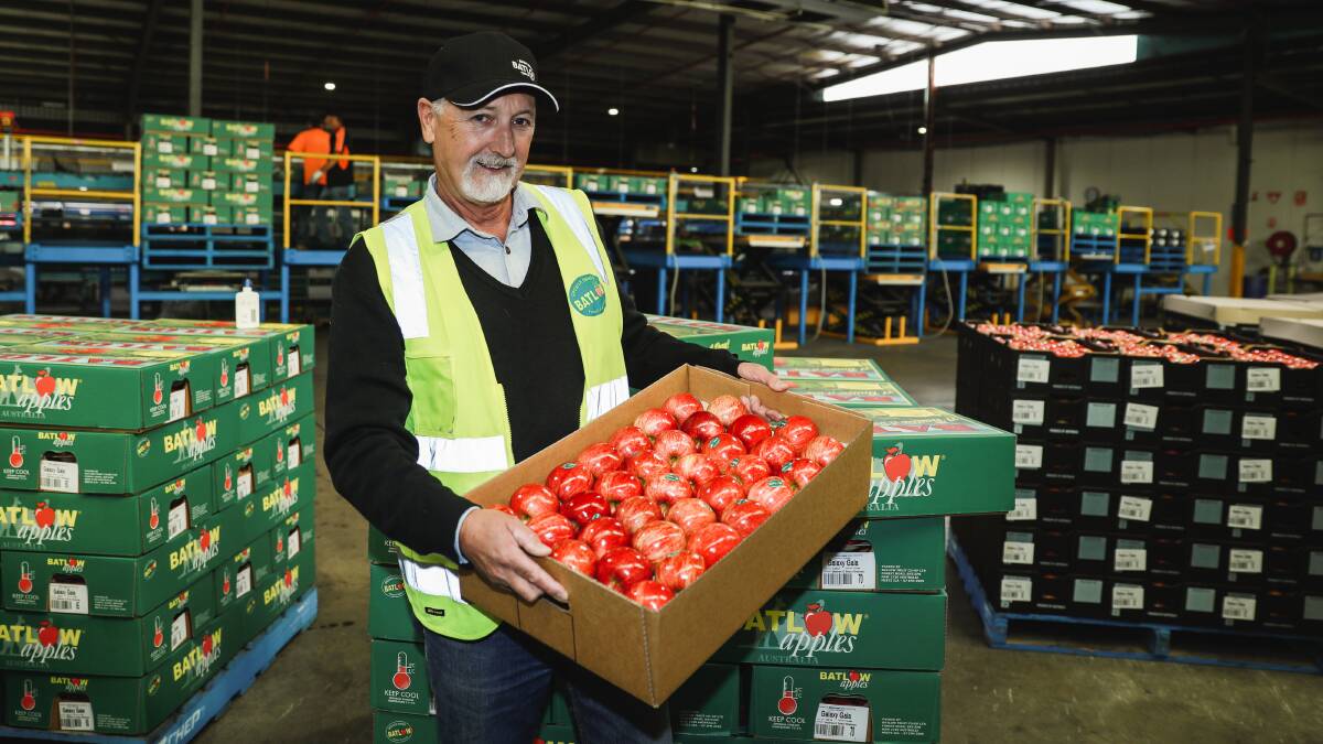 Andrew Desprez, Batlow Apples' orchard manager, with the first box of new season apples, which is being auctioned on eBay as a fundraiser.