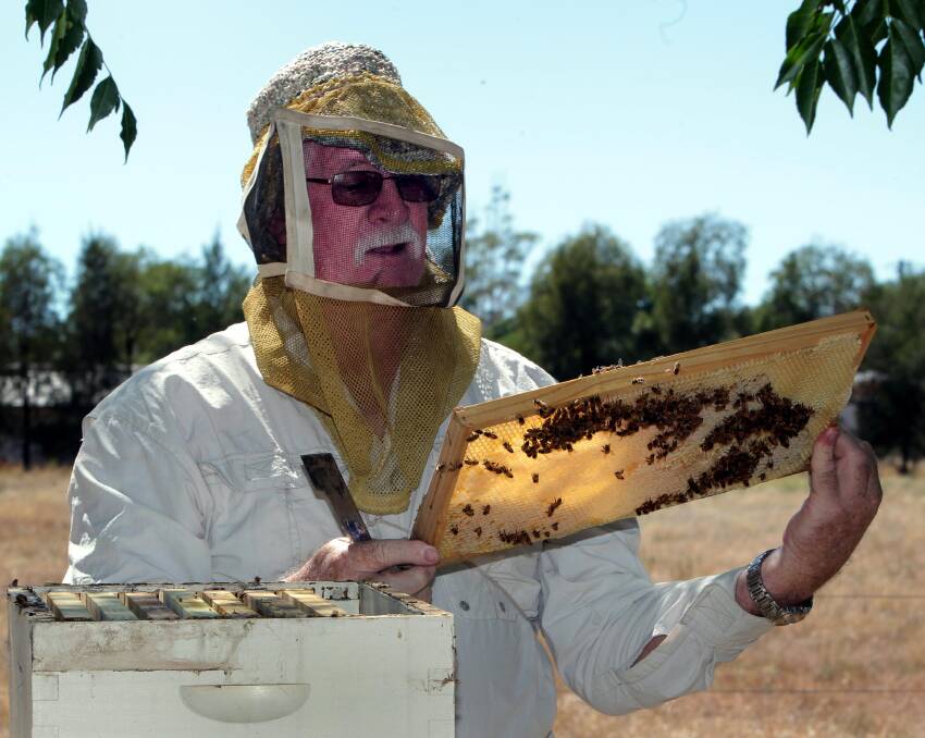 Mike James from the Wagga Amateur Beekeepers Club.