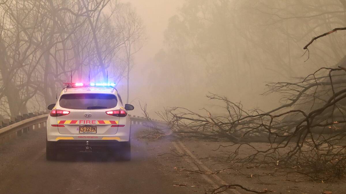 Bushfires brought trees down near Batlow. Picture: Les Smith