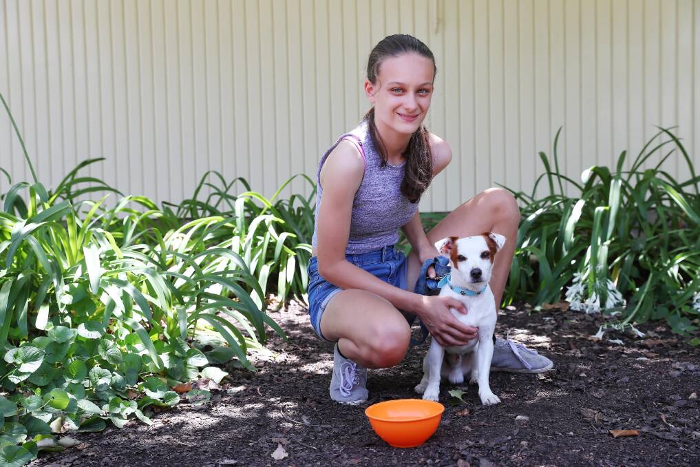 CANINE CARE: Tayissa Pickering, 12, and her three-year-old buddy Duke are staying in the shade to keep cool and making sure there's plenty of water. Picture: Emma Hillier