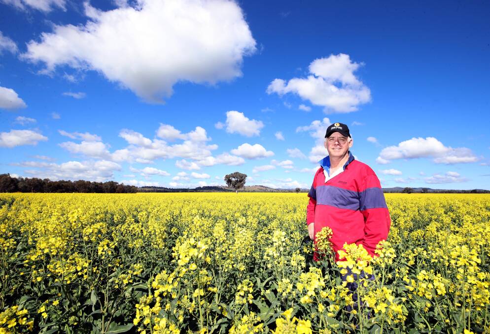 BLUE SKIES: The Daily Advertiser's Les Smith snapped this picture of Gregadoo Andrew Dumaresq in his canola crop at the end of August. Canola is usually a sign of spring around the region.