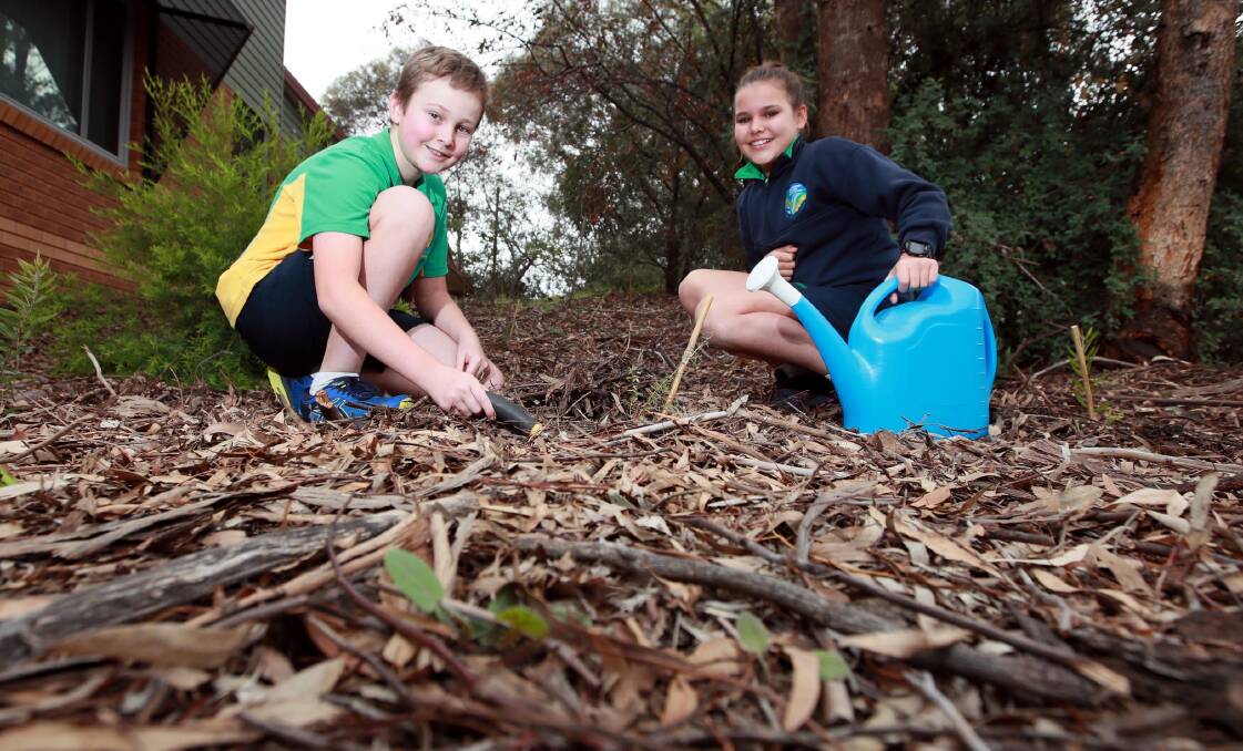BUSY BEES: Max Crawford and Zoe Metcalfe, both aged 11, were happy to dig in and help plant the seedlings. Picture: Les Smith