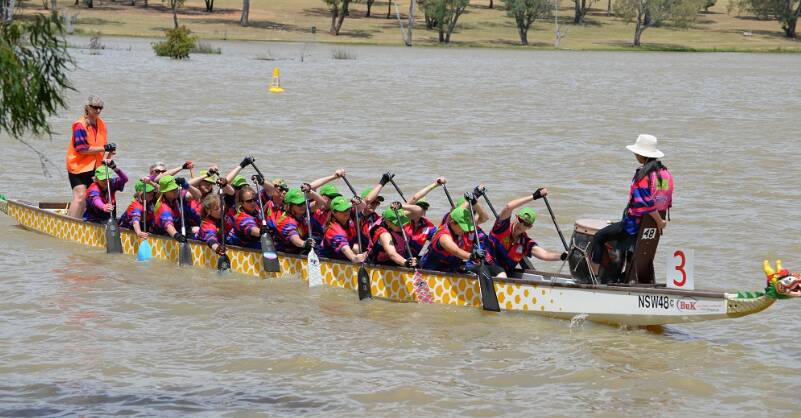 UP FOR THE CHALLENGE: Dozens of teams took to Apex Park at Lake Albert on Sunday to participate in the annual races. Picture: Bidgee Dragons