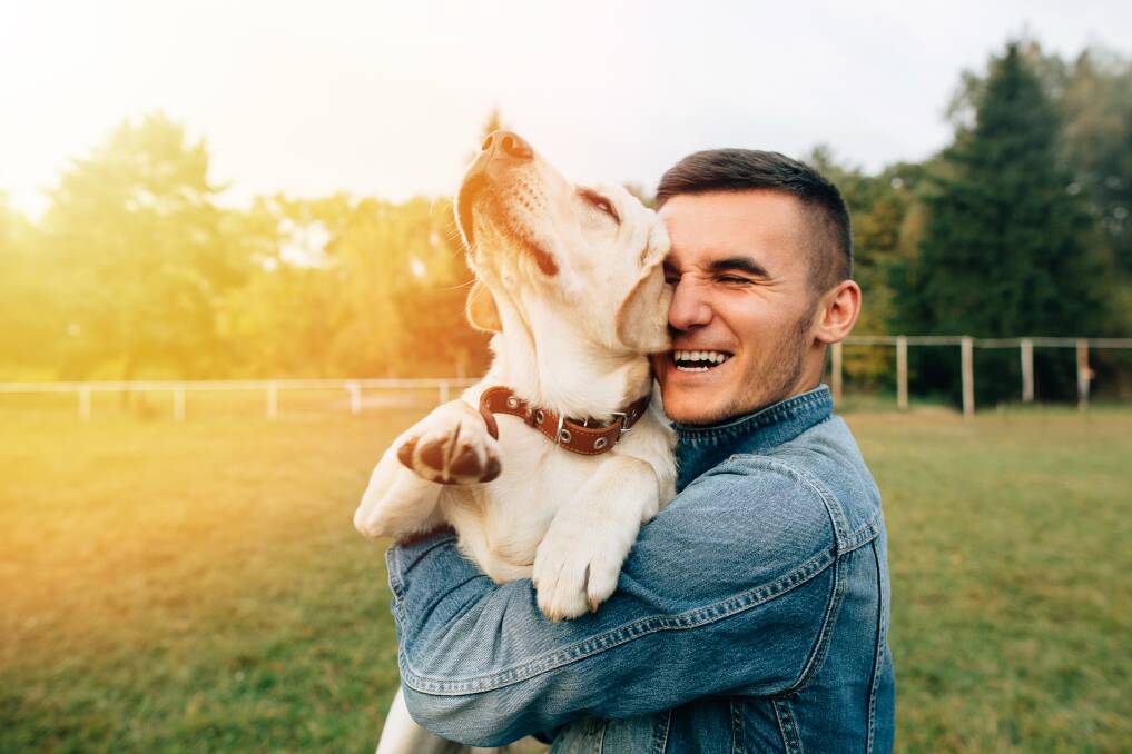 Best thing for your best friend: Desexing not only prevents unwanted litters of kittens or puppies it can also prevent a range of health issues from occurring in dogs later in life.