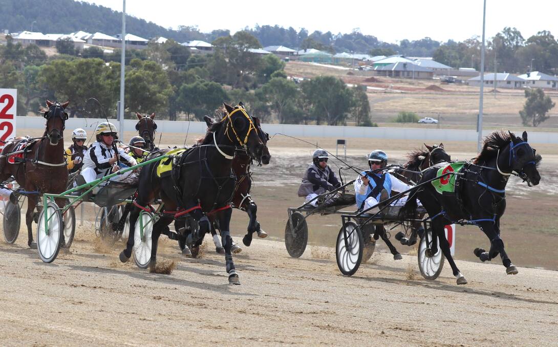 Carnival of Cups attracts the best to the Riverina Paceway