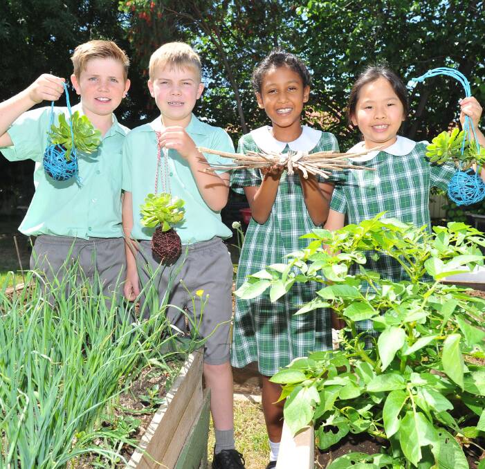 Fresh: Joben Smith 10, Geordie Charleson 10, Diya Bhengra 9 and Karina Zhang 9 are looking forward to showing off the schools orchard and vegie patch during the Sustainable Living Festival. 