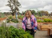 Louise enjoying the beautiful Community Gardens at Hildasid Farm. Louise started receiving support from Kurrajong in 2002 and now accesses Kurrajongs Lifestyle Choices (day support) and Supported Living services. Picture: Jack Of Hearts Studio