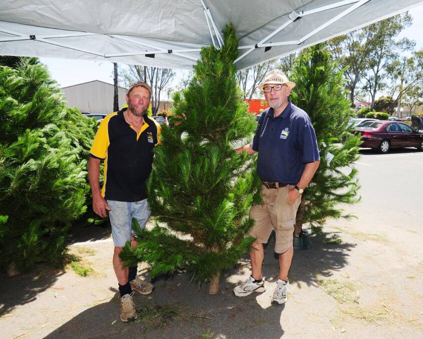 SOLD OUT: The Daily Advertiser were too slow to get a fresh picture of the tree's this year because they sold out fast, but here's Sunrise Rotary members Dave O'Grady and Bob Martin at the Bunnings car park in 2016. 