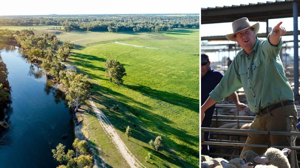 RICH: Landmark livestock agent Peter Cabot said there have been some “extraordinarily high” commodity prices for sheep and cattle over the past 18 months. 