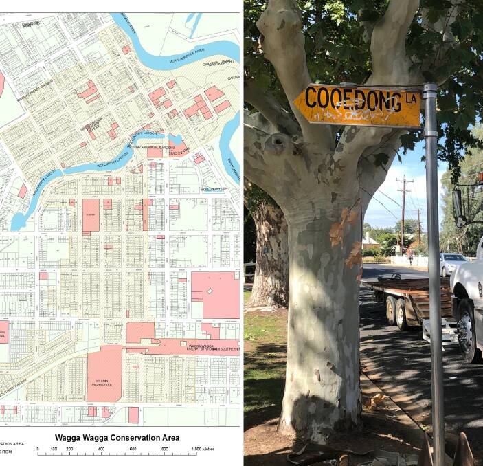 PRESERVING: Cooedong Lane residents facing Wollundry Lagoon say new developments could tarnish the (highlighted) conservation area. 