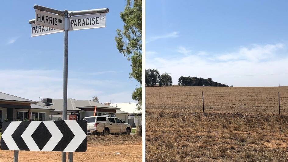 OPPORTUNITY: Wagga City Council to approve Gobbagombalin subdivision in the next week and will give space to more than 120 residential lots. Pictures: Annie Lewis