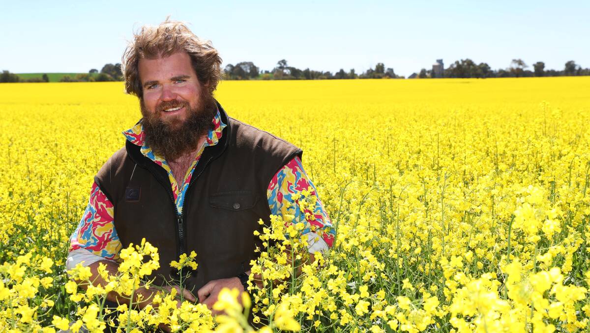 SEA OF YELLOW: Wagga grain grower Simon Moloney said he is grateful his crops are faring well compared to others in the drought. Picture: Emma Hillier