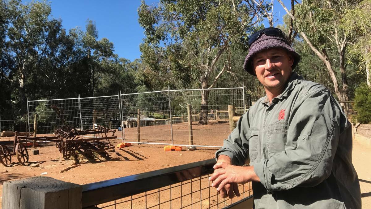 Wagga City Council manager of parks and strategic operations Henry Pavitt said council   conducts tree inspections and treats termites with suitable pesticide. 