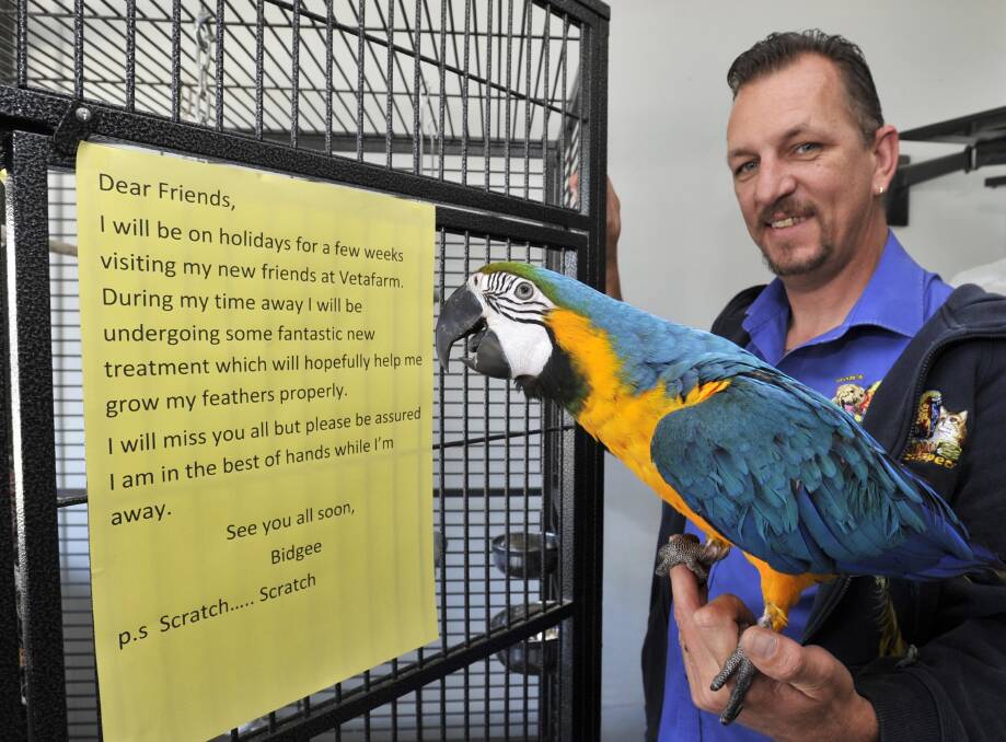 EXPANSION: Bob's Birdz-N-Pets owner Darren Wood in 2013 holding Pedro the Macaw. 