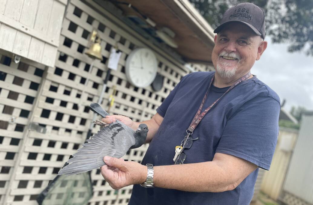 BEAUTIFUL: Carey Larkin said pigeons were amazing, loving creatures with an incredible intelligence and innate instinct for home. Picture: Monty Jacka