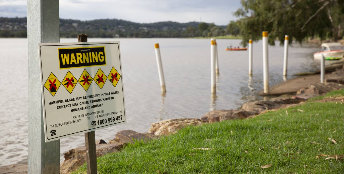 OFF LIMITS: Wagga residents were urged to stay out of Lake Albert this month following the detection of blue-green algae. Picture: Madeline Begley
