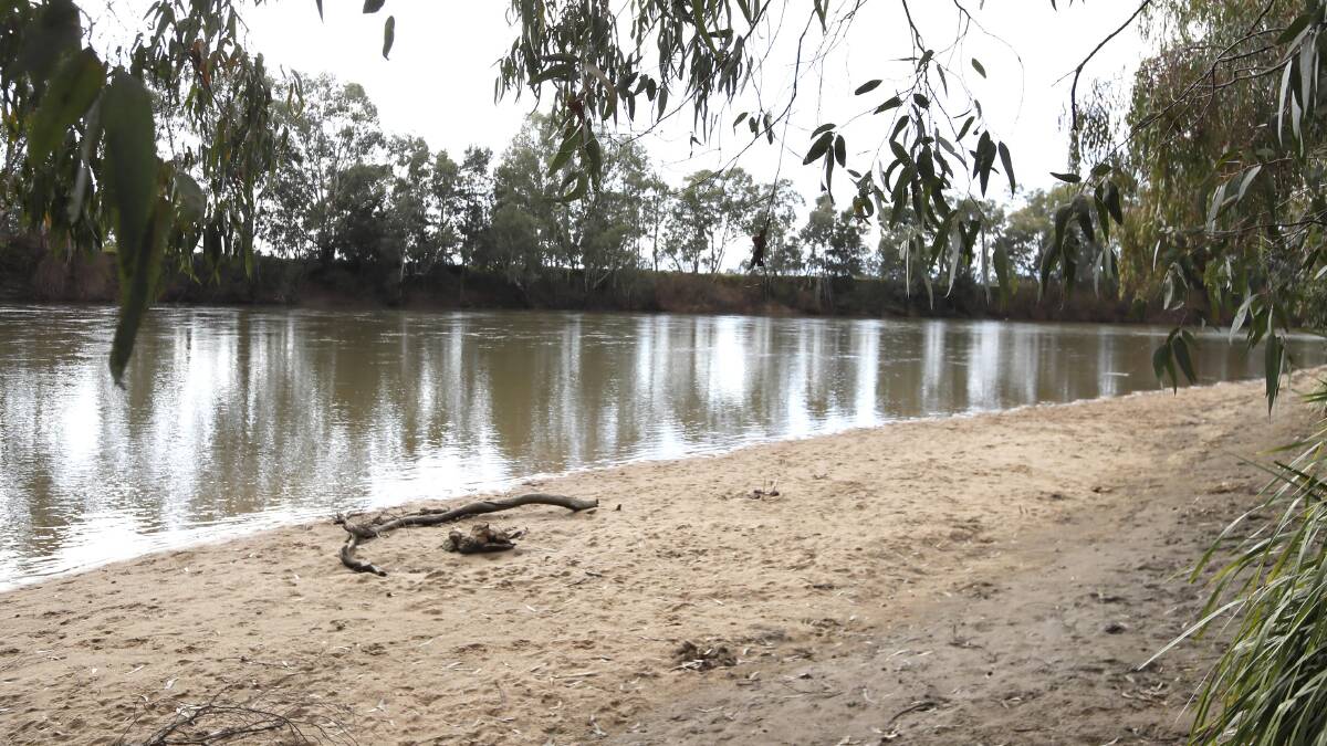 STEADY: The Murrumbidgee River at Wagga was at 2.7 metres around midday on Wednesday, well below the minor flood level of 7.3 metres. Picture: Les Smith