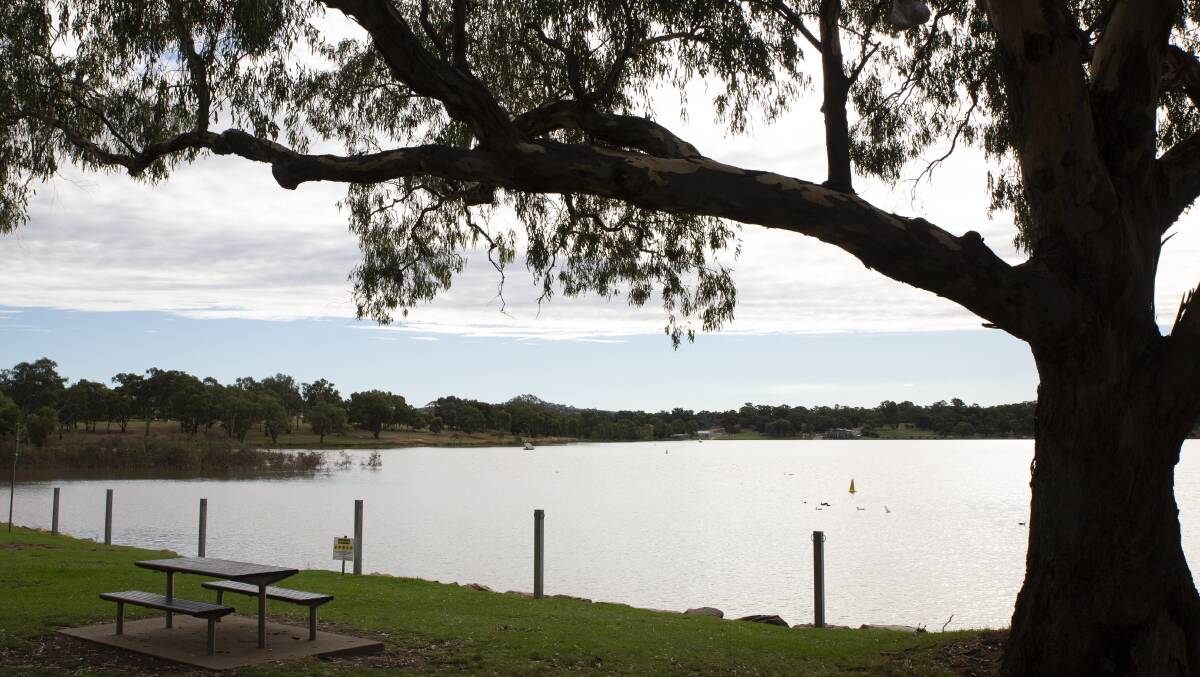 RETURN: Wagga City Council could lift the current blue-green algae warning issued for Lake Albert as early as Friday, depending on the result of a final water sample test. Picture: Madeline Begley